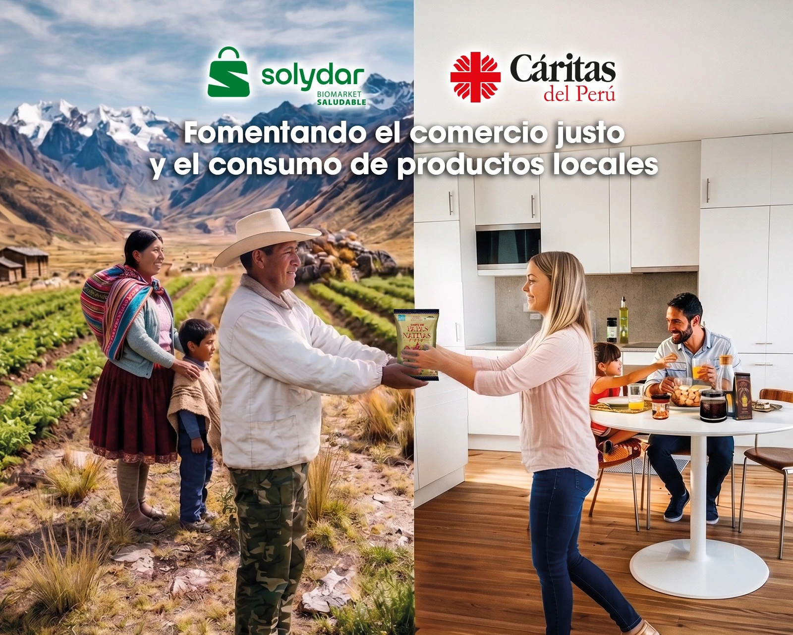 Impacto Social Solydar